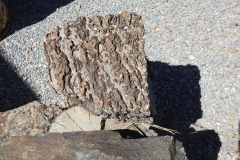 Crystal Spring Formation Rock- Chert bearing dolomite